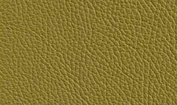 Material Leather Lime Details from Venjakob