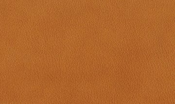 Material LEDER SAUVAGE BERNSTEIN Details von Venjakob